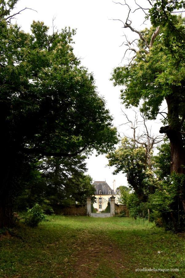 Domaine De La Briouse Bed & Breakfast Sanxay Екстериор снимка
