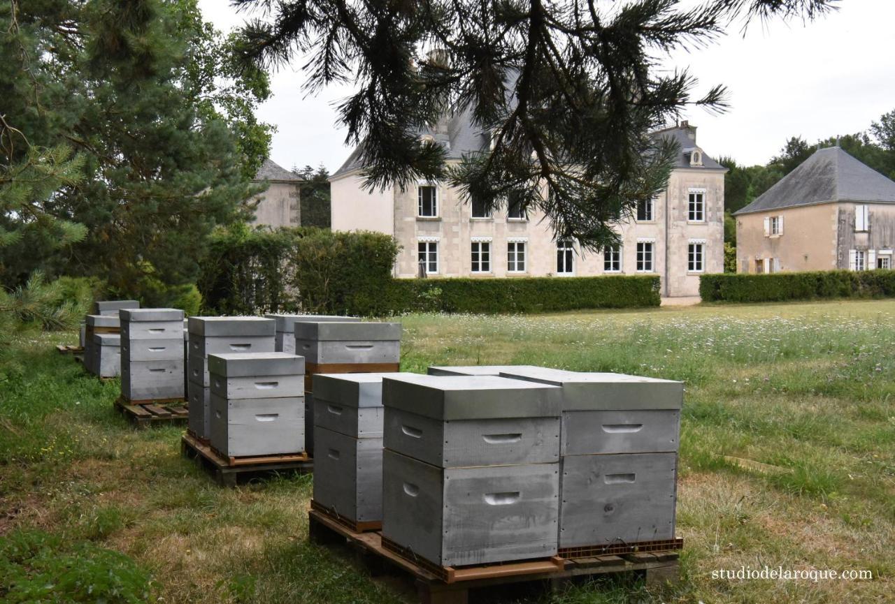 Domaine De La Briouse Bed & Breakfast Sanxay Екстериор снимка