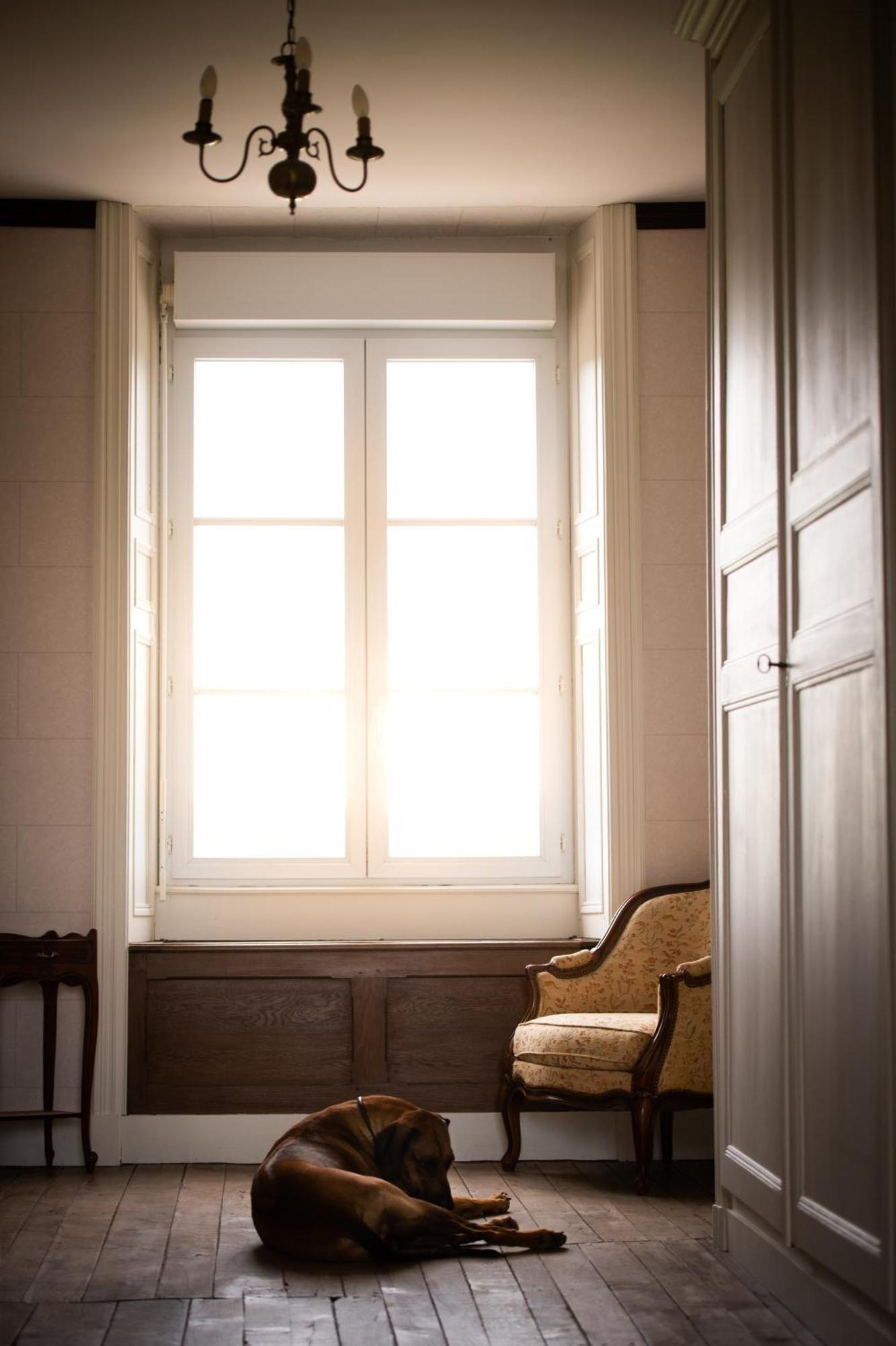 Domaine De La Briouse Bed & Breakfast Sanxay Екстериор снимка