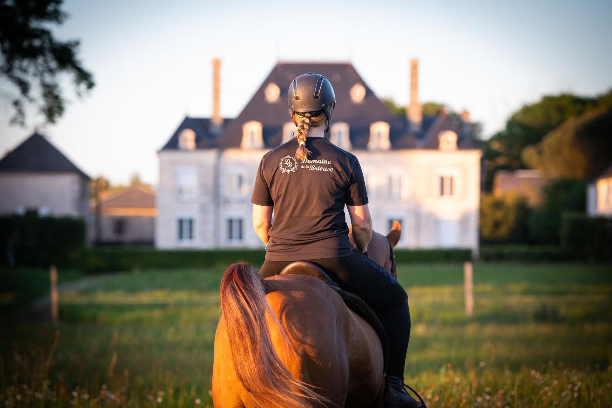 Domaine De La Briouse Bed & Breakfast Sanxay Екстериор снимка