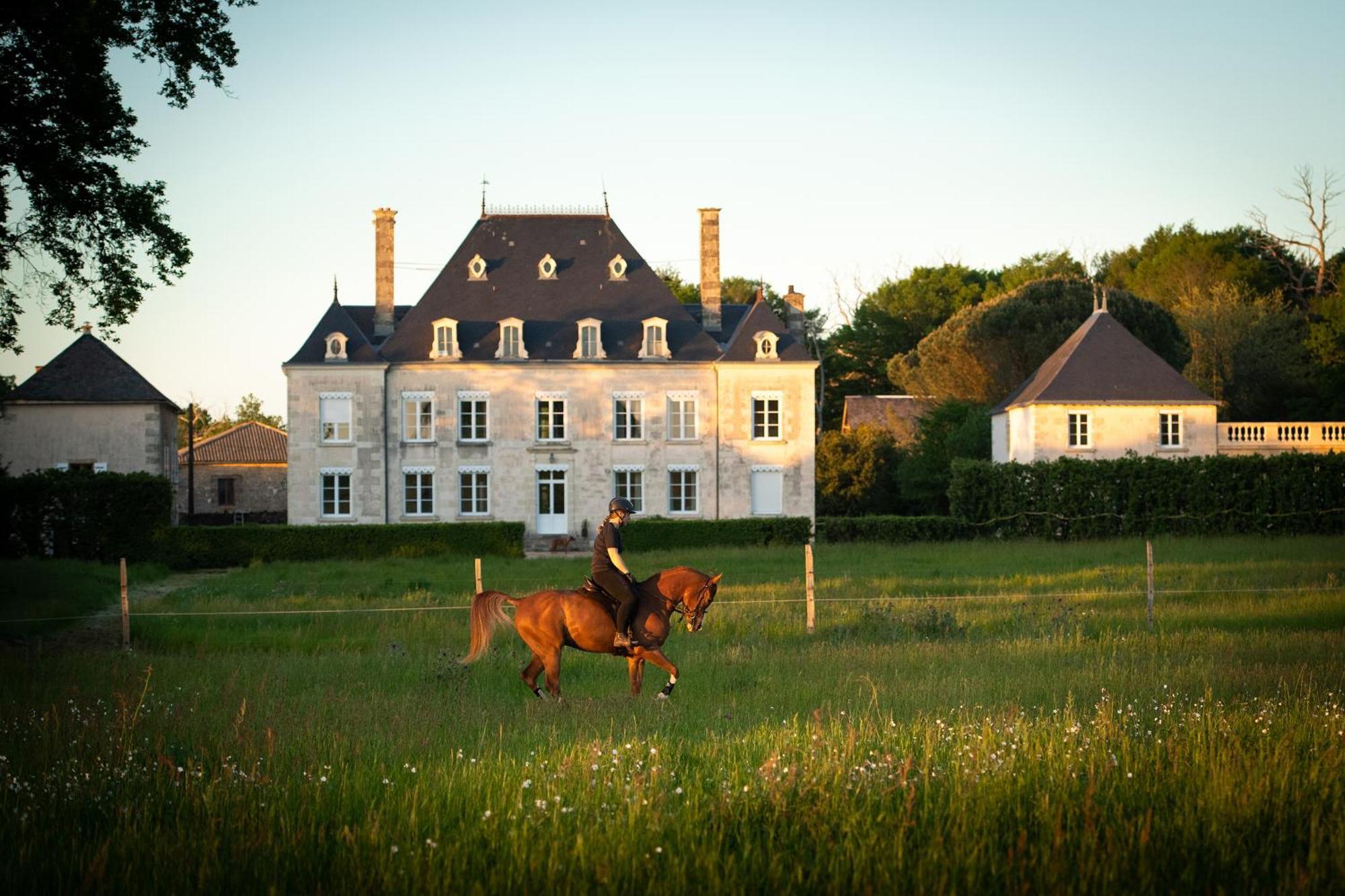 Domaine De La Briouse Bed & Breakfast Sanxay Екстериор снимка